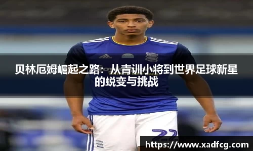 利来w66官网